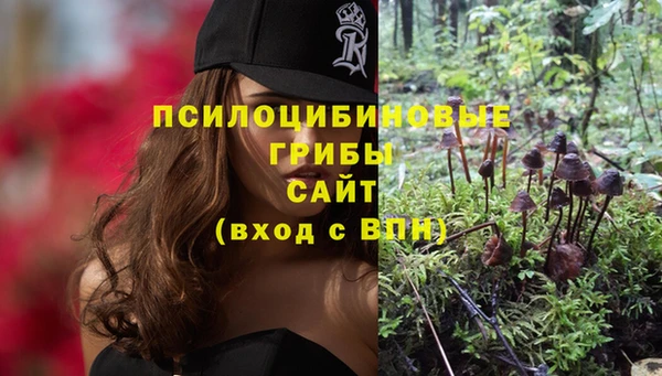 скорость Липки