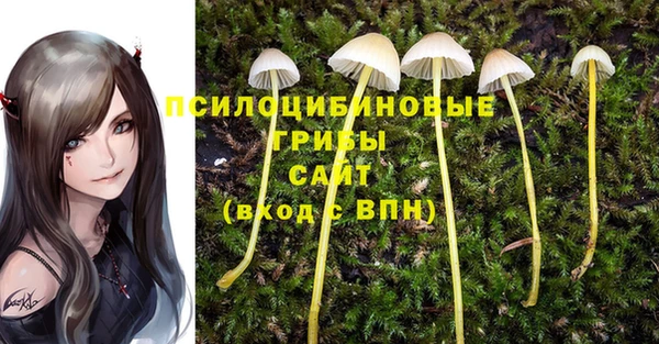 MESCALINE Лихославль